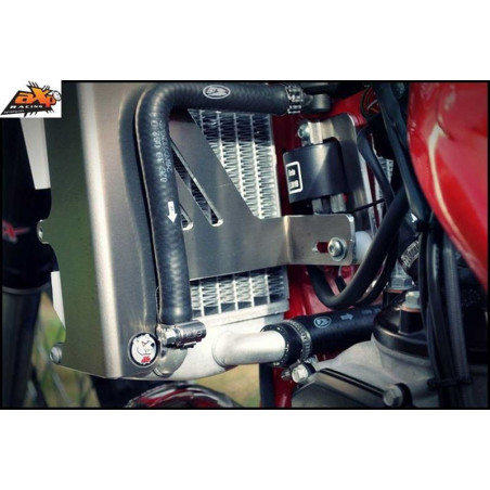 Radiator braces in aluminum with red spacers for Beta 250RR - 300RR